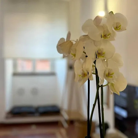 Il Vicoletto Apartment *